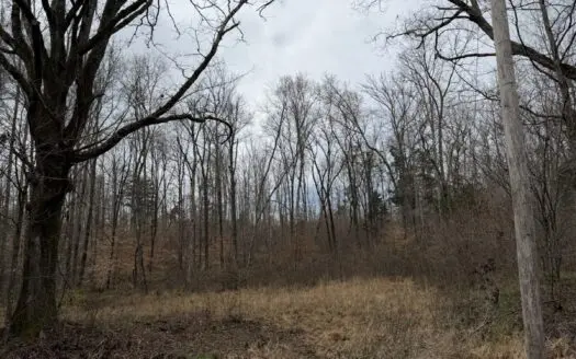 Land for Sale in Benton County, Tennessee