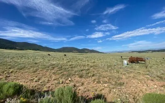 Large Agricultural Lot for Sale in Westcliffe Colorado
