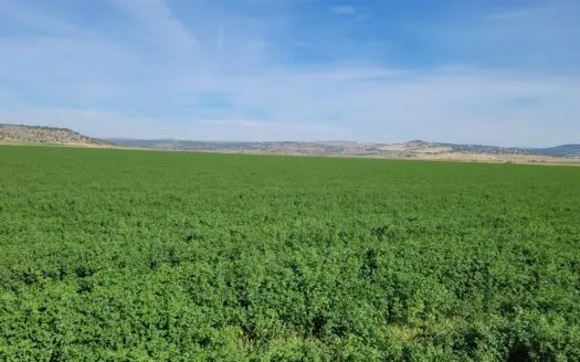 Eastern Oregon Fairview Farms Located Outside of Hines