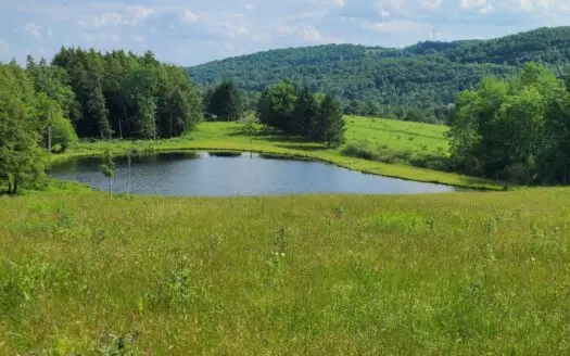 Turnkey Ranch With Acreage For Sale in Central New York