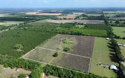 6.42 Acres For Sale in Bell, Fl!