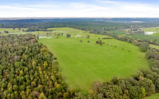 Ranch Land For Sale New Boston Texas