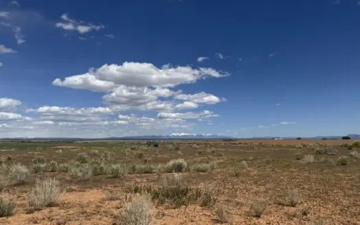 OWN YOUR OWN LAND! 35 ACRES in SW Colorado!