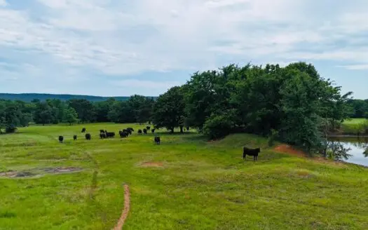 Land For Sale Near Eufaula, Oklahoma 65 Acres +/-