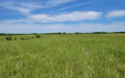 30± Acres Open Land w/ Pond Clarksville TX