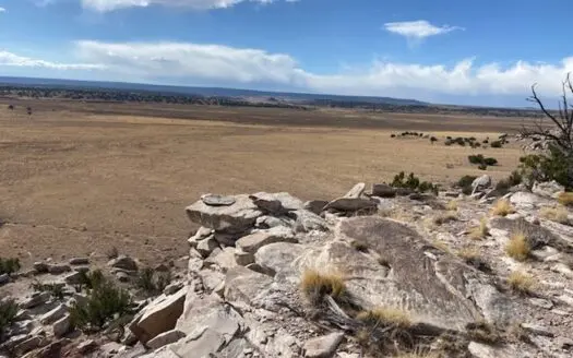 80+ acres for sale under $40,000! Eastern AZ