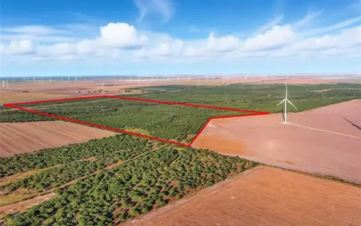 260± Acres Hunting Land for Sale | Mathis, TX Wildlife Ranch