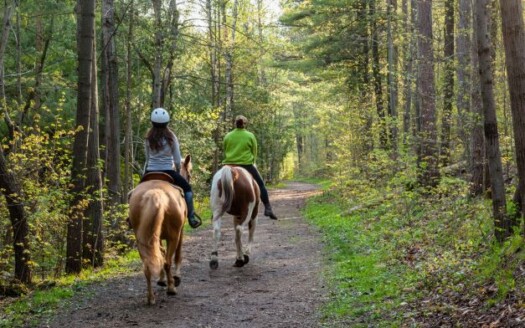 Trail Riding on your recreational land
