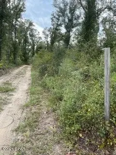 The Call Of the Country; Nw Fl Near Beaches