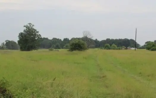 10 Acres for Sale in Bowie County