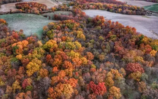 Jackson County, Iowa Hunting Land W/scenic Building Sites