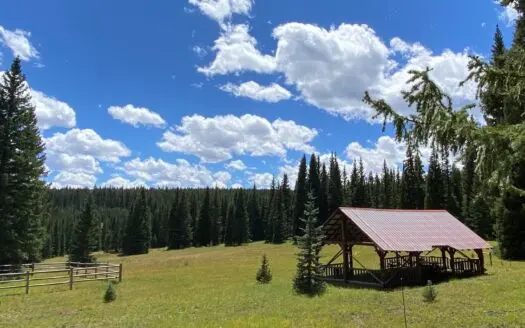 Colorado Mountain Hunting 40 Acres Surrounded by Public Land