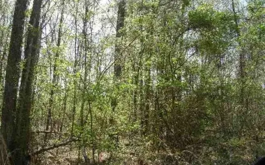 Land in West Monroe La for Sale