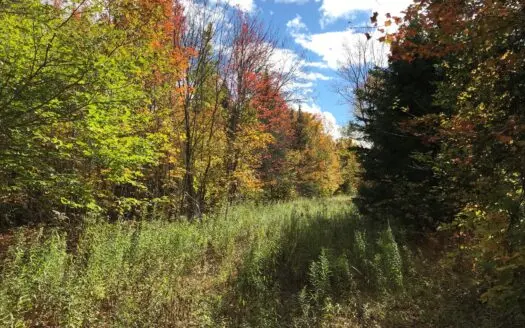 Webber Road Off-grid Cabin Site