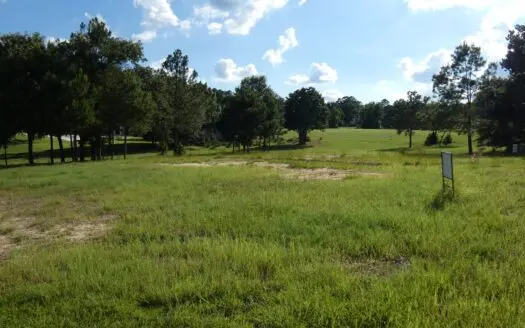 Holly Lake Ranch, Tx Golf Course Lot East Texas Wood County