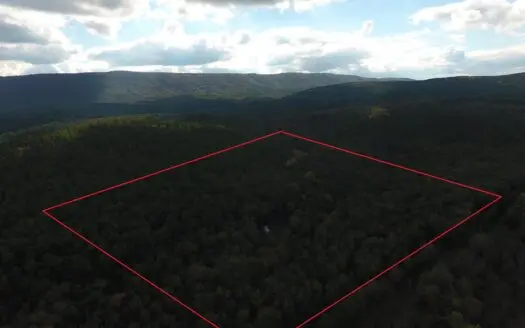 Brushy Mountain Cabin & 9.5 Acres Near National Forest