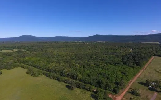 36 Acre Sugarloaf Mountain Wooded Home Site – for Sale