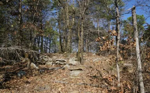 Mountain View Cabin Site and Investment Property