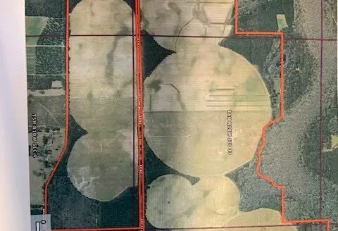 Row Crop Farm in Jackson County, Florida for Sale