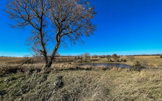 Clarke County Investment & Recreational Land for Sale