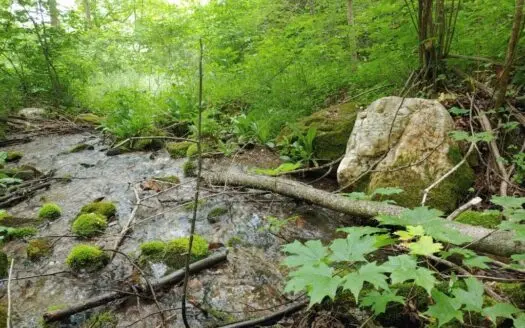 Mountain Land for Sale in Callaway Va