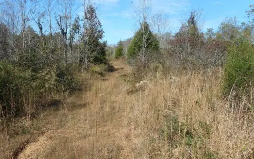 Rural Tennessee Property for Sale!