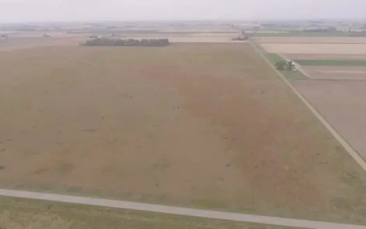 Hunting Property for Sale – 80 Acres Buildable Unionville Mi