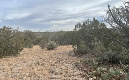 Northern Arizona Remote Hunting Property — over 40 Acres