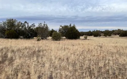 Level Usable Land – 2.87 Acres – Bring Horses or Atvs