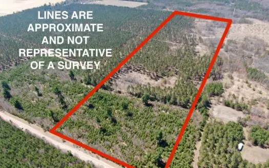 Town Of Big Flats 22.354 Acre Timber Lot for Sale in Adams