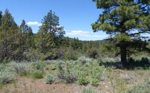 Great Place for Your Hunting Destination!