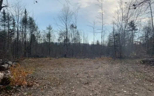 Land for Sale in Burlington, Maine