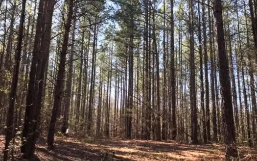 Quiet Building Lot in Southern Va
