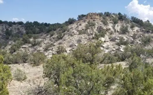 Santa Fe County 40± Acres in Remote Area for Sale in Nm