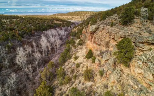Bookcliff Ranch, Montrose, Co and Excellent Hunting