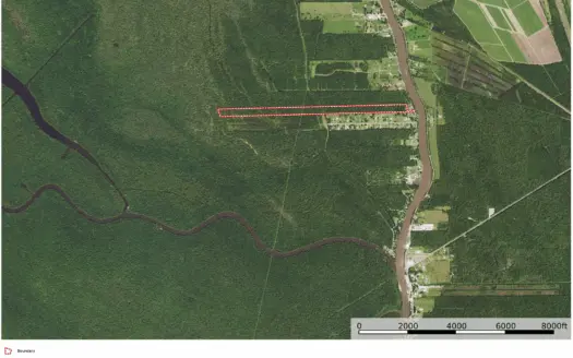 Hunting and Recreational Land Iberville Parish Louisiana