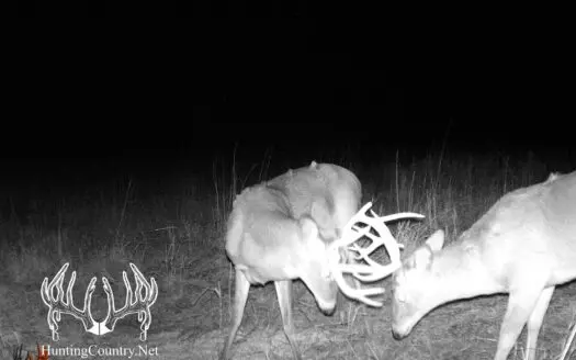 160 Acres M/l Kiowa County, Kansas Land for Sale