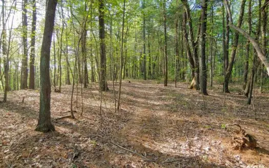 Mountain Land for Sale in Ferrum Va