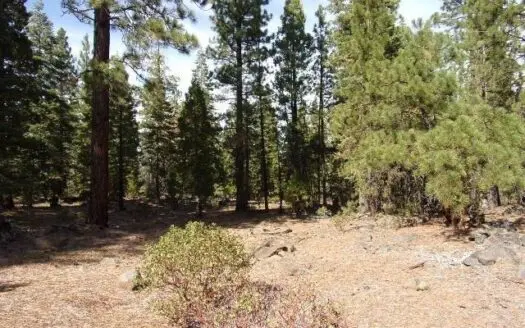 3.68 Acres off the Grid in Modoc County