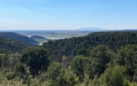 Private Home for Sale in Dolores, Co!