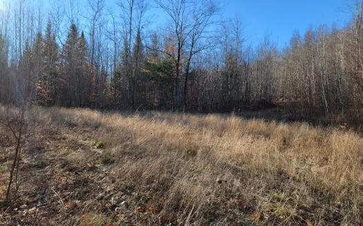 Land for Sale in Prentiss, Maine