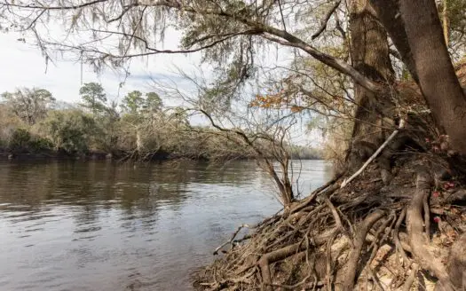 Suwannee River Front Property for Sale in Live Oak, Florida