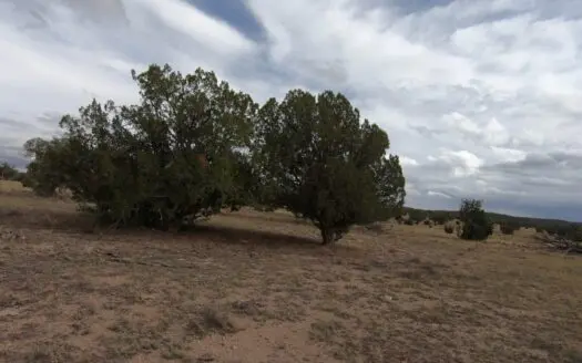 Off Grid in Northern Arizona Bordering State Trust Land
