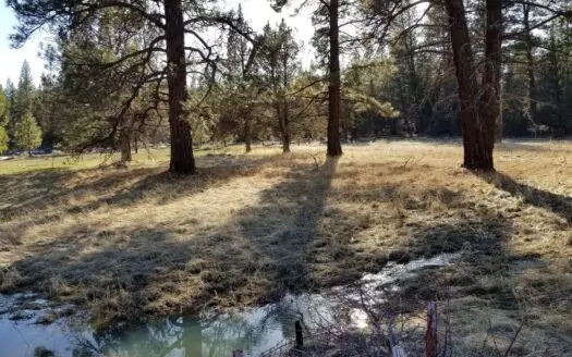 Northern, Ca/rural Acreage/domestic Well/seller Financing