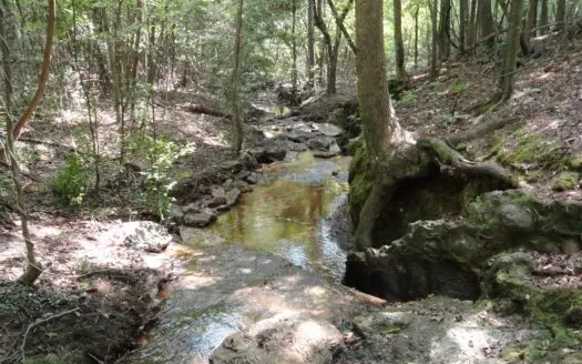 Jacksonville Texas Lands for Sale