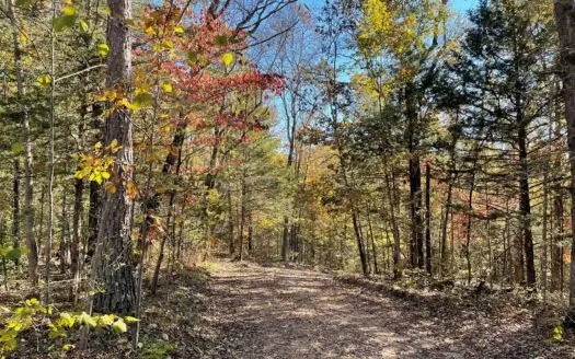 Hunting Property for Sale in Southern Missouri