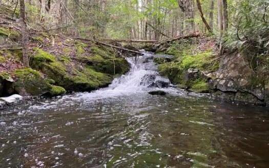 Land for Sale in Robbinston, Maine