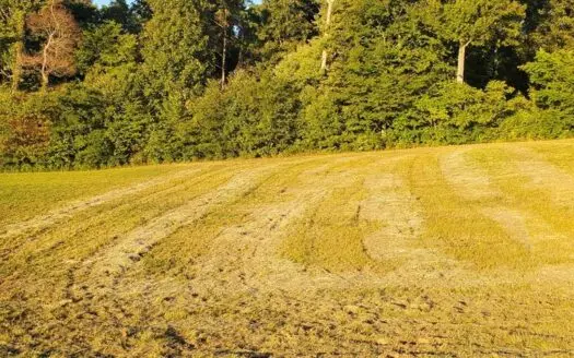 .64 Acre Lot in Waters Edge Subdivision in East Tn for Sale