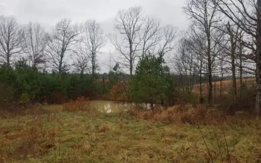Sold – Closed 4.9 Acre Of Land Pond Homesite Wayne County Tn