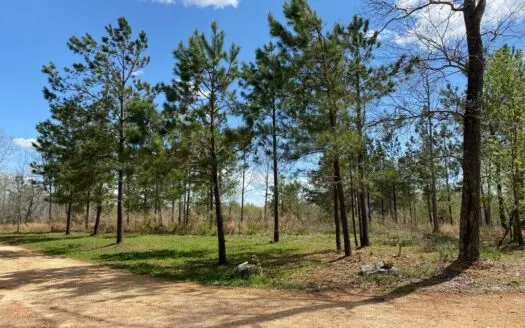 Land with Acreage for Sale in Mount. Pleasant, Tennessee